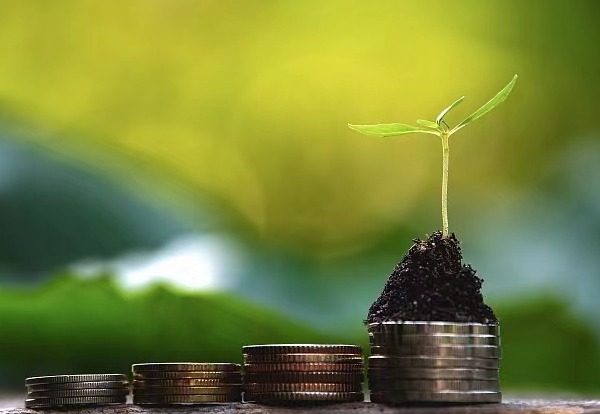 China injects vitality into global green finance sector:0